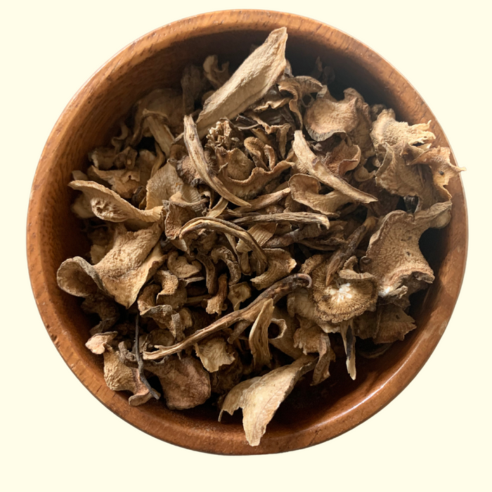 Burdock Root