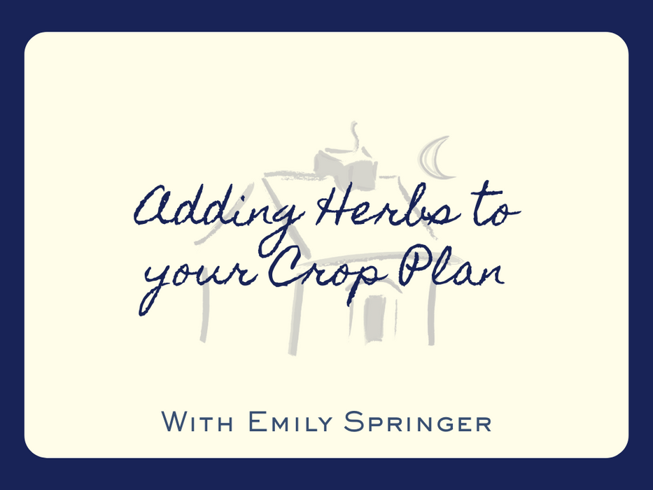 Adding Herbs to Your Crop Plan Webinar