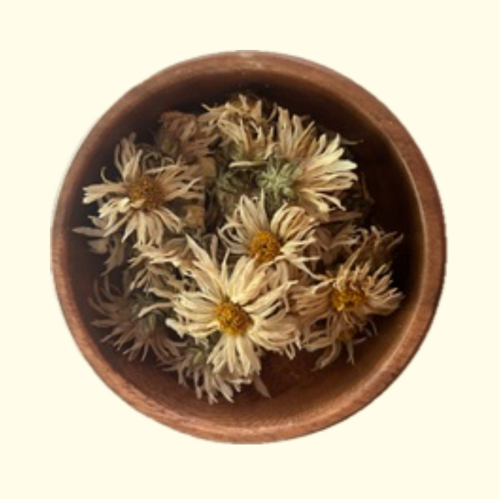 White Chinese Chrysanthemum