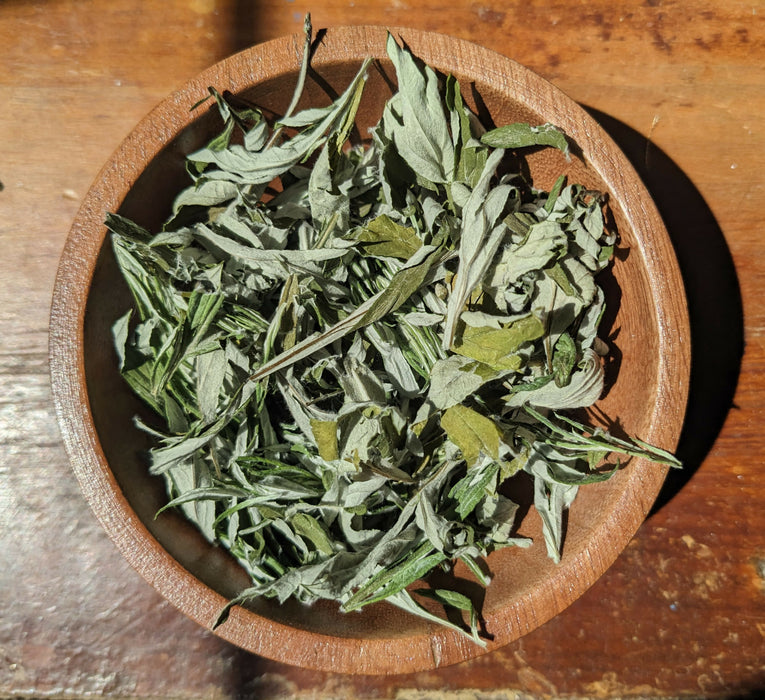 Mugwort